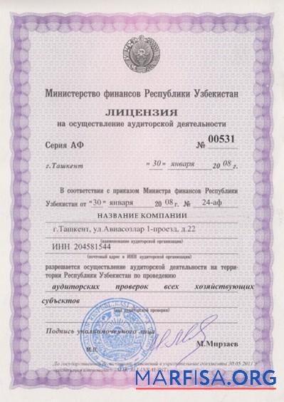 Blank Uzbekistan Business License example